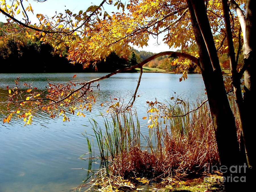 Golden Autumn Lake Photograph by Karin Everhart - Fine Art America