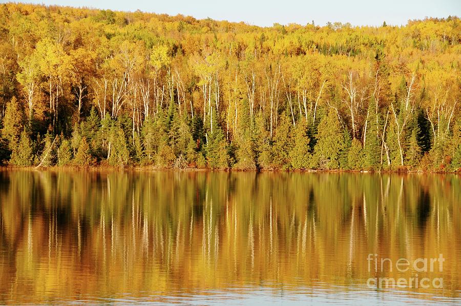 Golden Autumn Reflections Photograph by Sandra Updyke