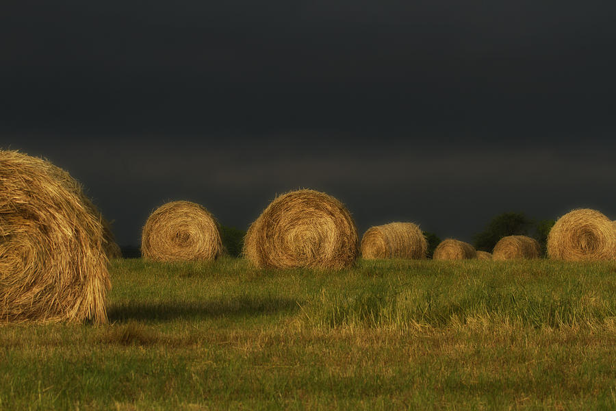 Golden Bales Photograph by Debby Richards