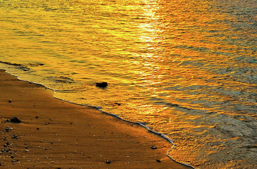 Golden Beach Sunset Photograph by Stephen Anderson