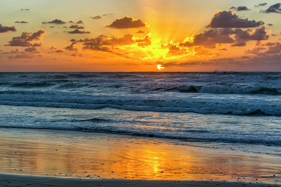 Golden beach Digital Art by Tsafreer Bernstein - Fine Art America