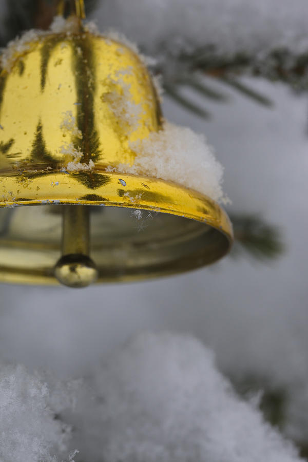 Golden bell in a snowy fir tree Photograph by Ulrich Kunst And Bettina Scheidulin