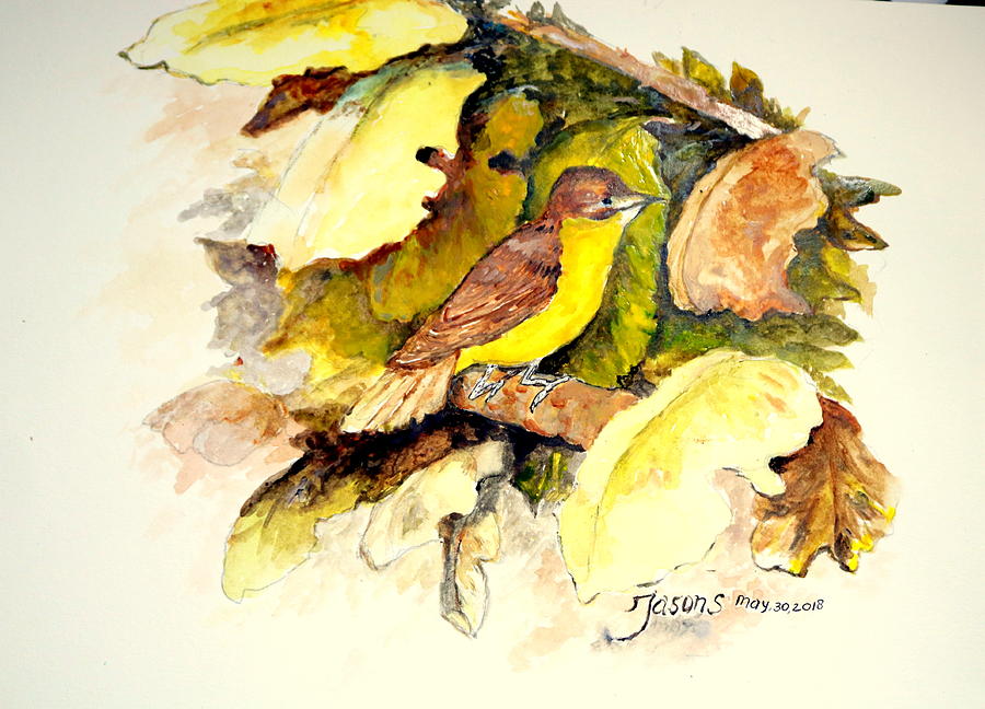 Golden-bellied Flyeater Painting by Jason Sentuf