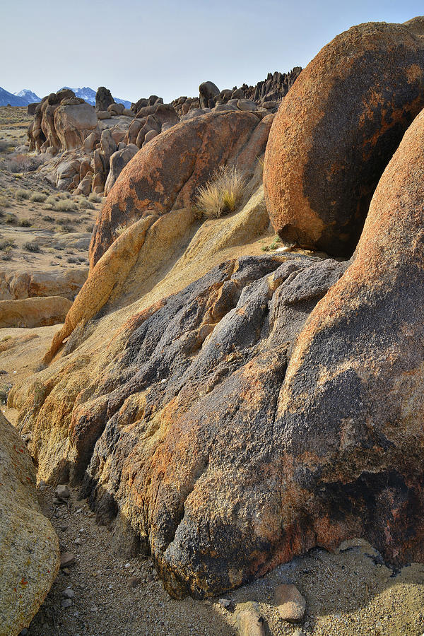 Golden Boulders in Alabama Hills Photograph by Ray Mathis