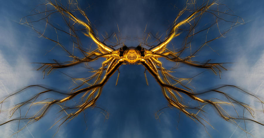 Golden Branch-Man Digital Art by Pelo Blanco Photo