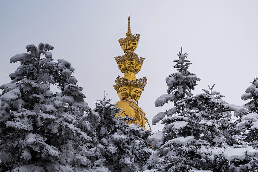 Golden Buddha on Mount Emei Photograph by William Dickman
