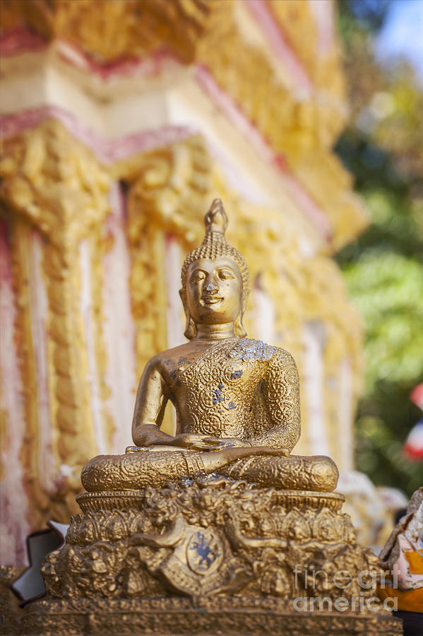 Golden buddha ornament Photograph by Sophie McAulay
