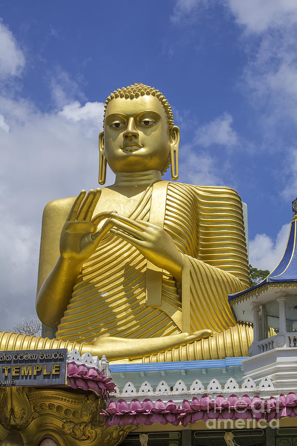 Buddha Photograph - Golden Buddha by Patricia Hofmeester