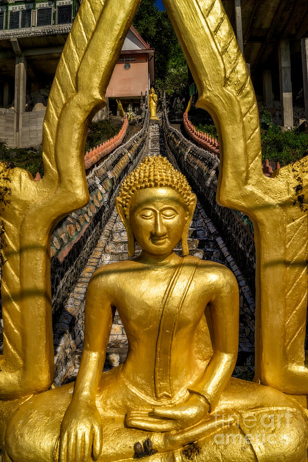 Golden Buddhas Photograph by Adrian Evans