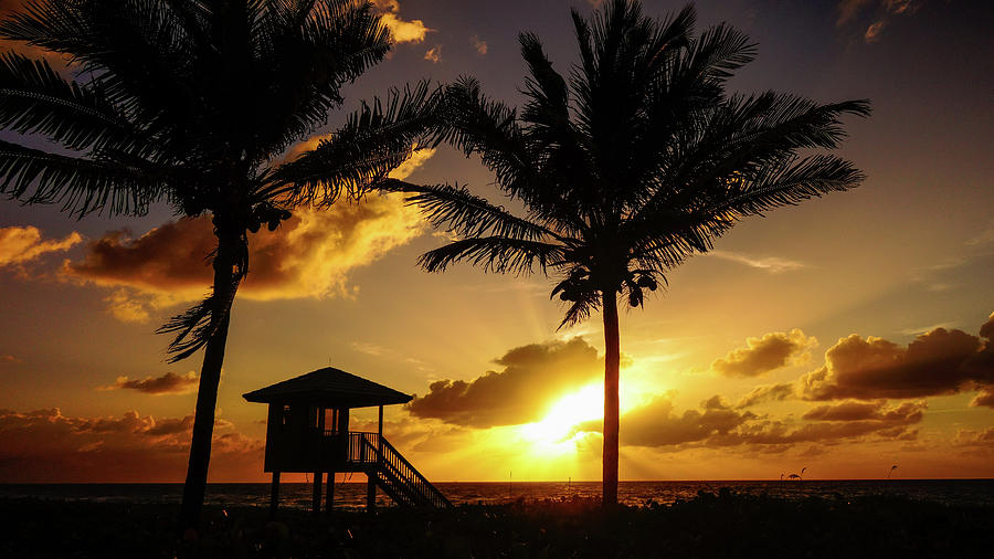 Golden Burst Sunrise Delray Beach Florida Photograph by Lawrence S Richardson Jr