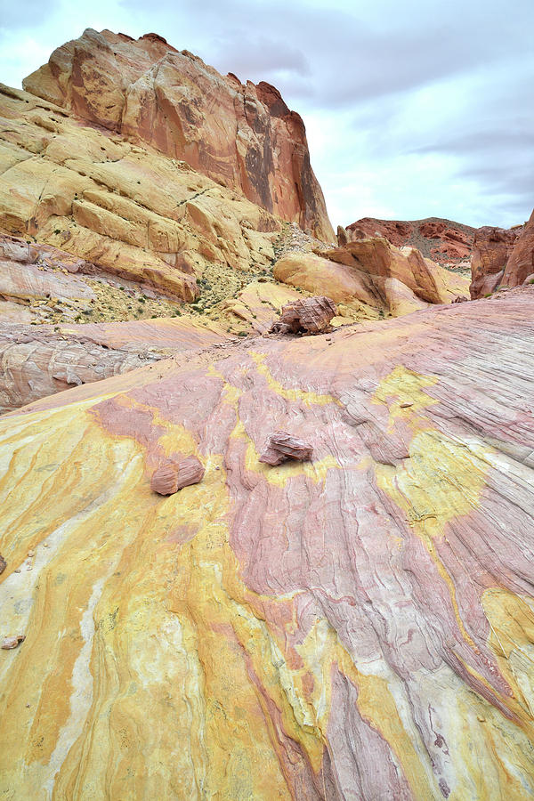 Golden Butte Colors - Valley of Fire Photograph by Ray Mathis