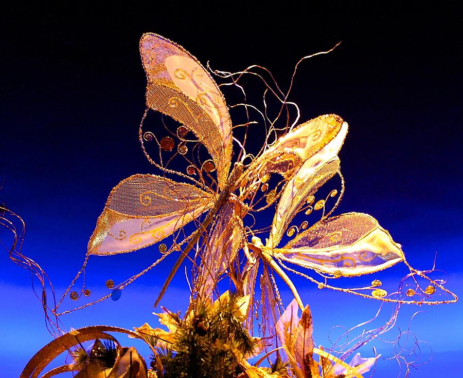 Golden Butterflies Photograph by Barbara Zahno