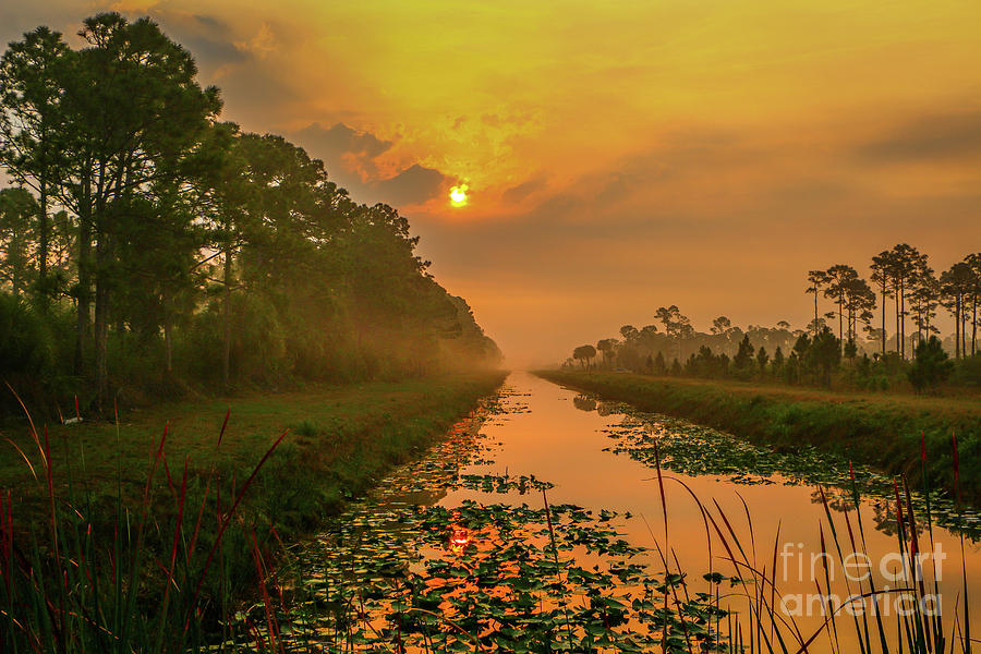Golden Canal Morning Photograph by Tom Claud