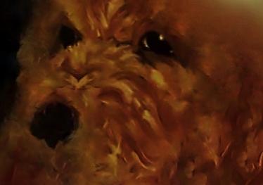 Golden Canine Dog Painting