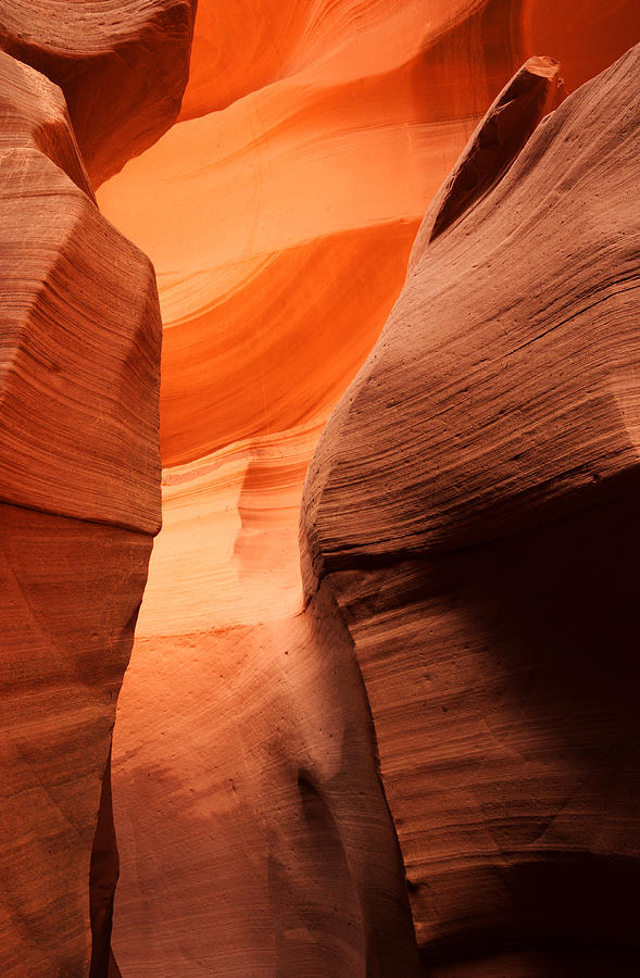 Golden Canyon Photograph by Eric Foltz