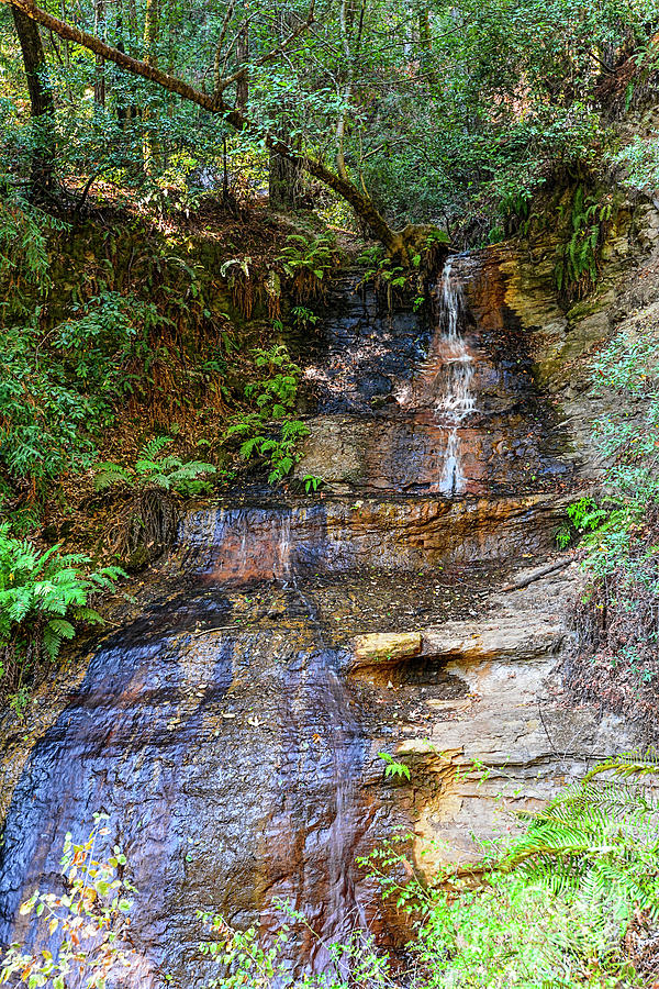 Golden Cascade Falls_8794 Photograph by Baywest Imaging