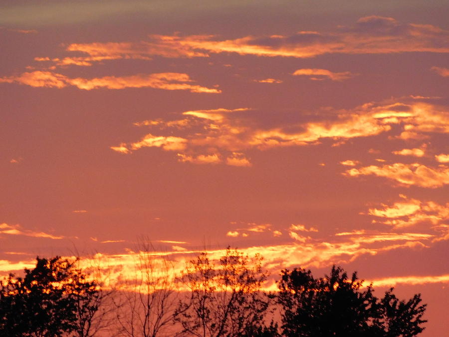 golden-chain-of-events-photograph-by-gregory-farmer-fine-art-america