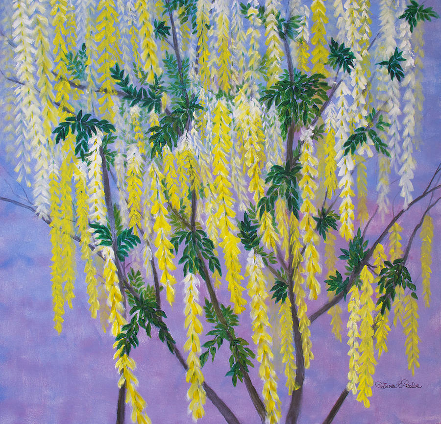 Golden Chain Tree Painting by Patricia Beebe