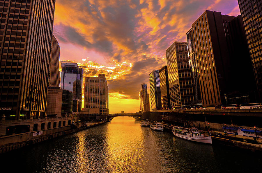 Chicago Photograph - Golden Chi by D Justin Johns