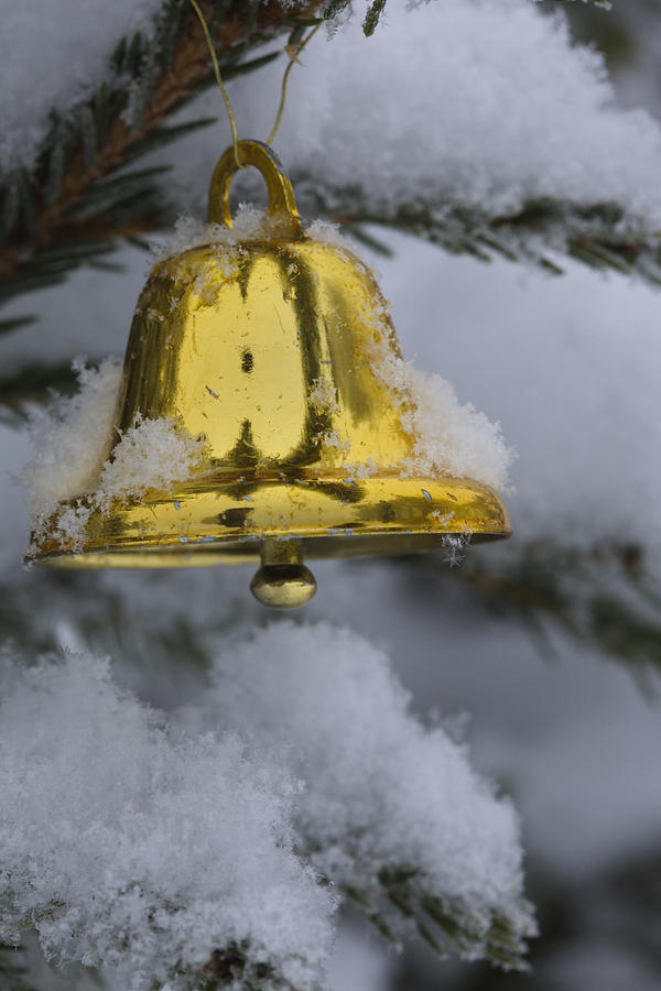 Golden Christmas bell in a snowy tree Photograph by Ulrich Kunst And Bettina Scheidulin
