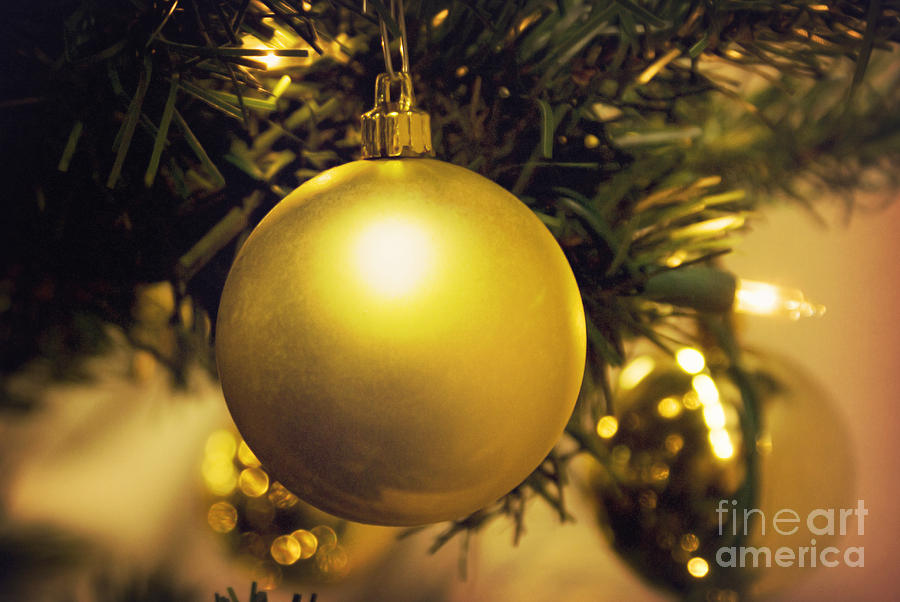 Golden Christmas ornaments Photograph by Cindy Garber Iverson