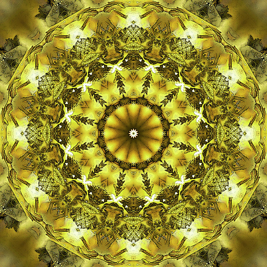 Golden Circle Digital Art by Frans Blok