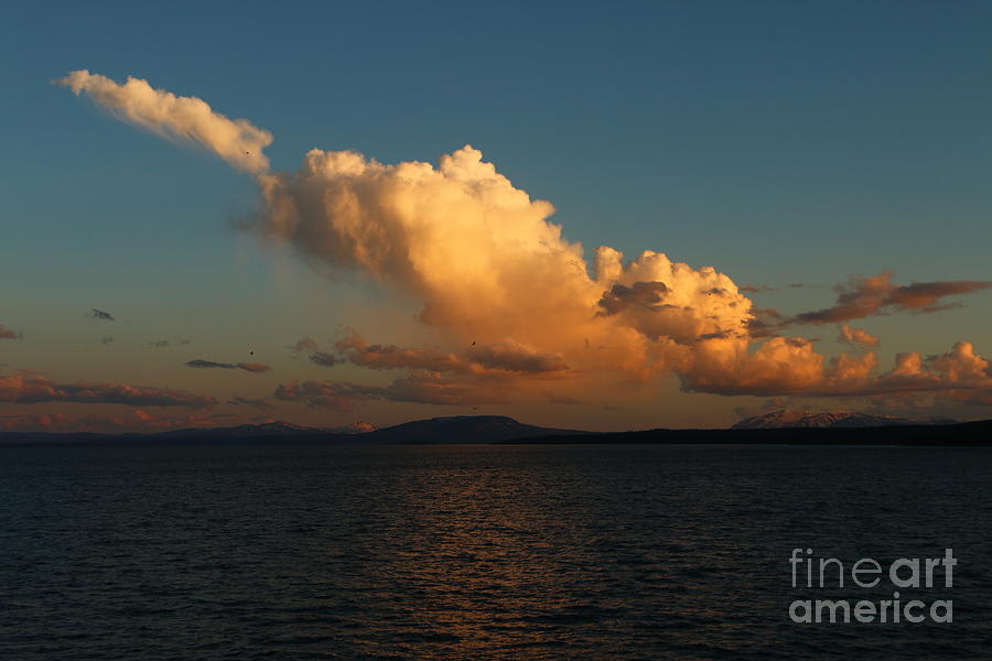 Golden Clouds Over Yellowstone Lake Photograph by Christiane Schulze Art And Photography