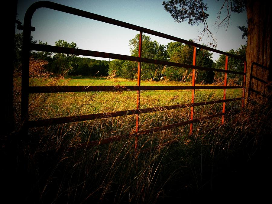 Golden Country Fence Photograph by Joyce Kimble Smith