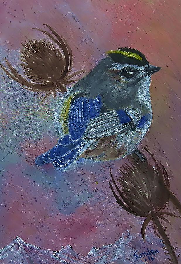 Golden-crowned Kinglet by Sandra Maddox Golden-crowned Kinglet by Sandra Maddox