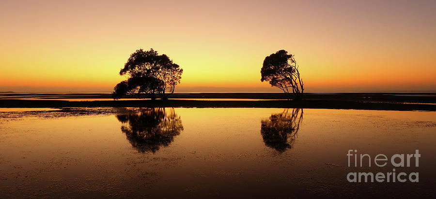 Golden dawn Photograph by Howard Ferrier