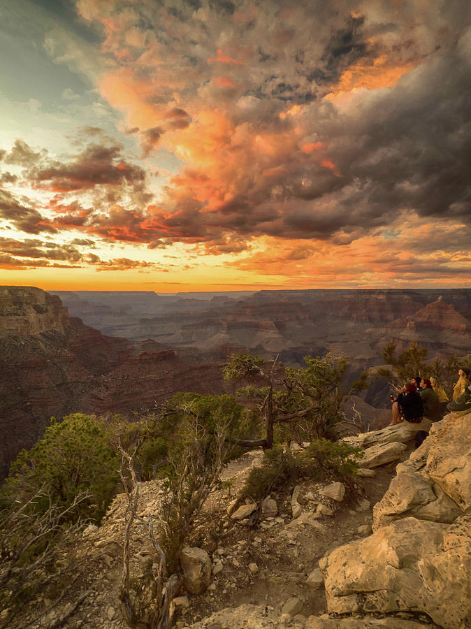 Sunsets Photograph - Golden Delight by Rob Wilson Sunsets Photograph - Golden Delight by Rob Wilson
