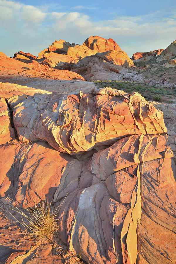 Golden Domes at Sunrise in Valley of Fire Photograph by Ray Mathis