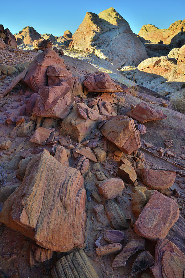 Golden Domes of Valley of Fire Photograph by Ray Mathis