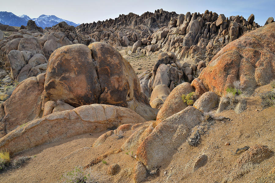 Golden Domes or Alabama Hills Photograph by Ray Mathis