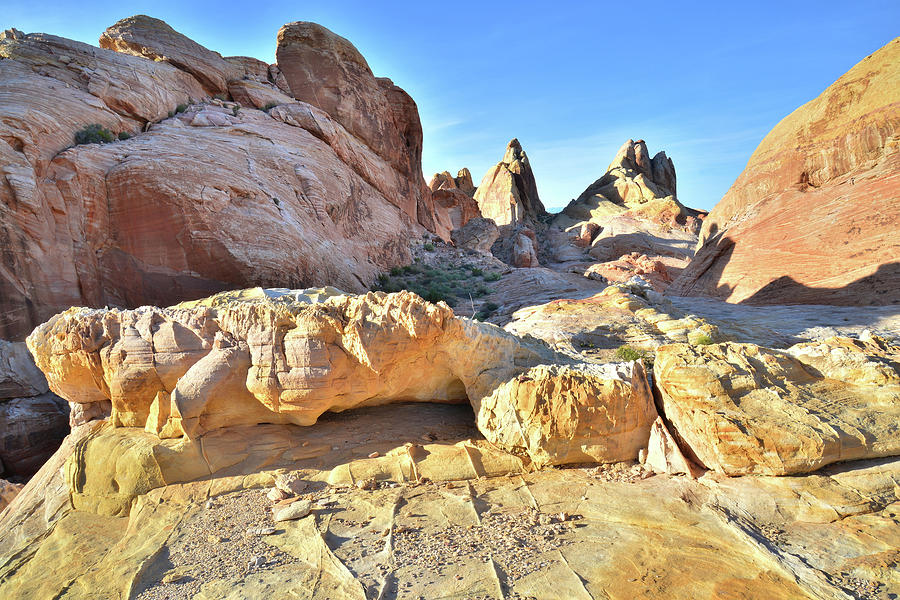 Golden Domes Valley in Valley of Fire Photograph by Ray Mathis