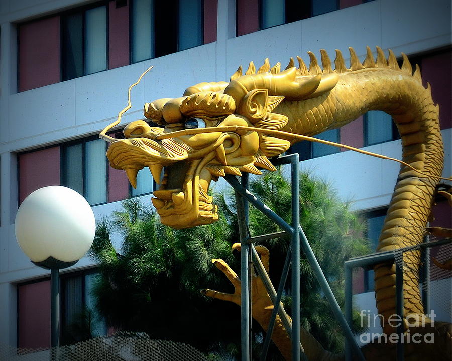 Golden Dragon Photograph by Tru Waters