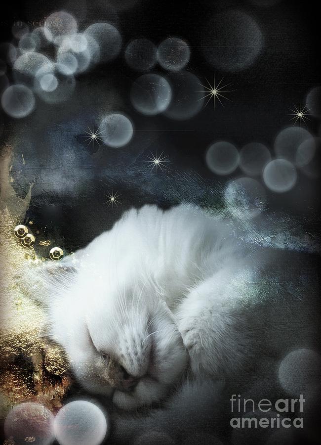 Cat Digital Art - Golden Dreams by Monique Hierck