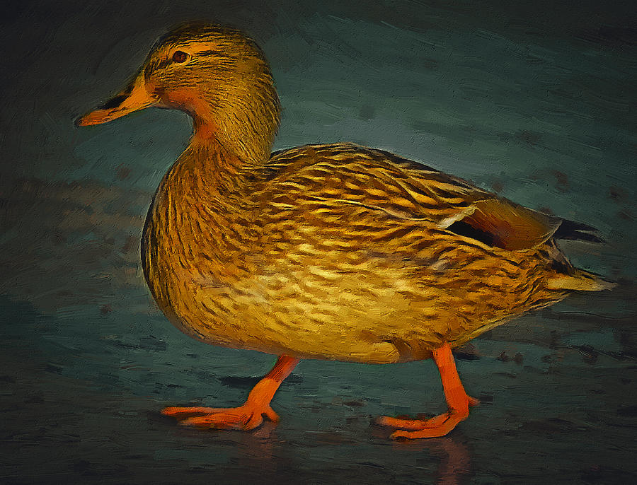 Golden Duck Digital Art by Yury Malkov - Fine Art America