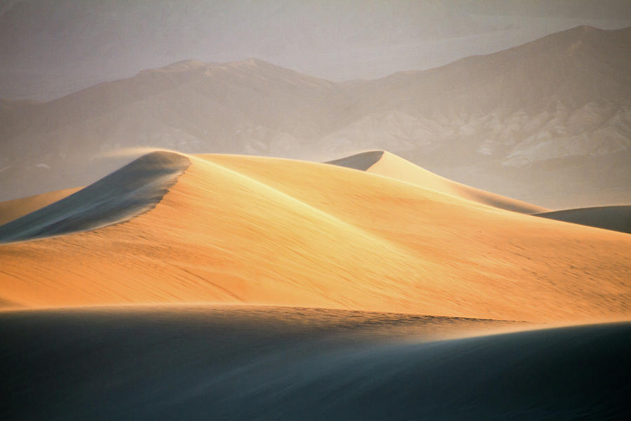 Golden Dunes Photograph by Marzena Grabczynska Lorenc