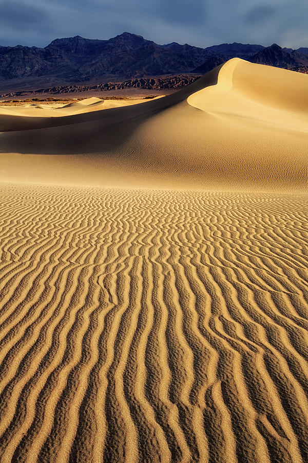 Golden Dunes Photograph by Nicki Frates
