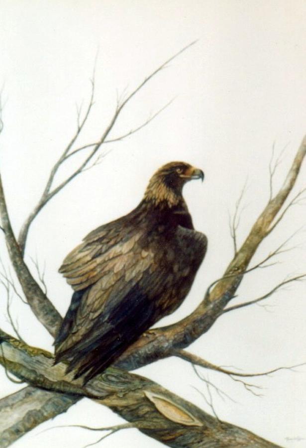 Golden Eagle Painting by Ben Kiger