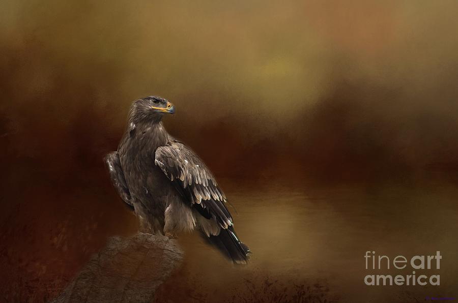 Eagle Photograph - Golden Eagle by Eva Lechner