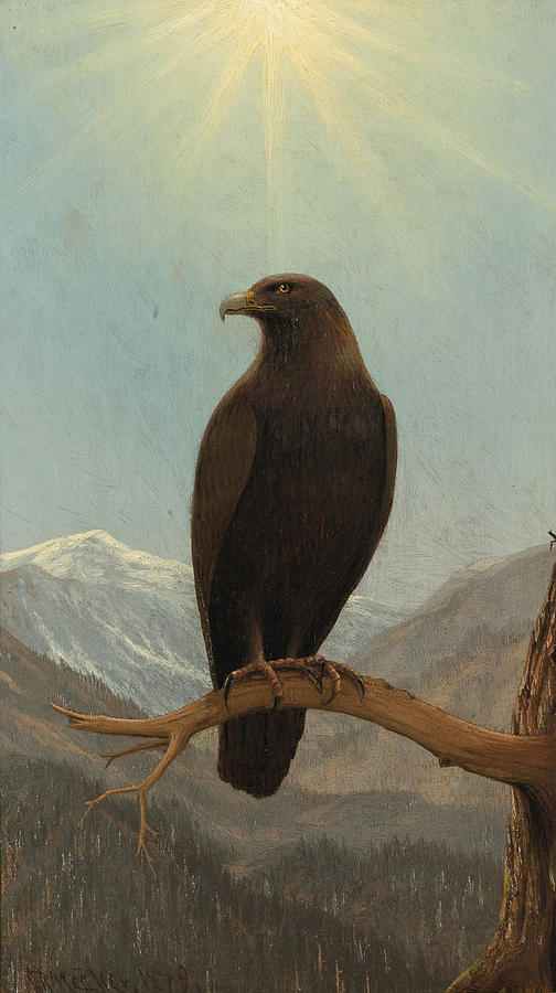 Golden Eagle Painting by Joseph Rusling Meeker