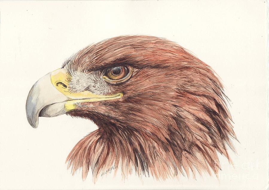 Golden Eagle Painting by Morgan Fitzsimons