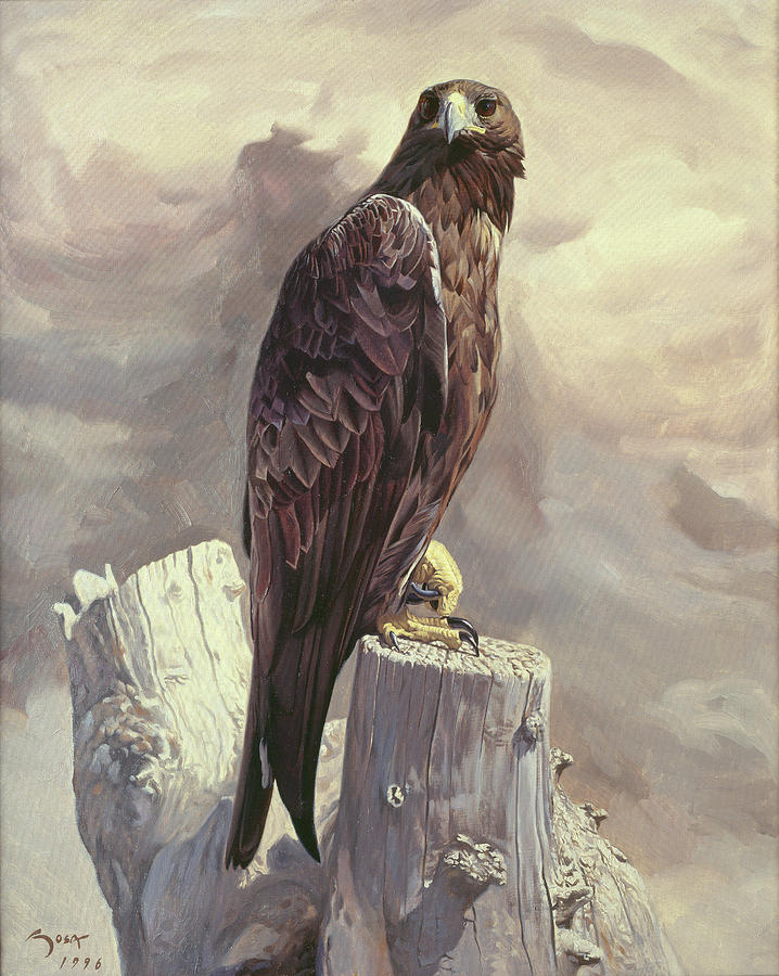 Golden Eagle Portrait Painting by Manuel Sosa