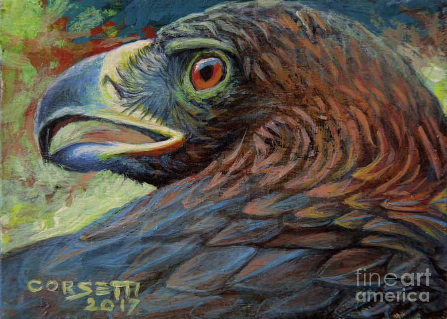 Golden Eagle by Rob Corsetti Golden Eagle by Rob Corsetti