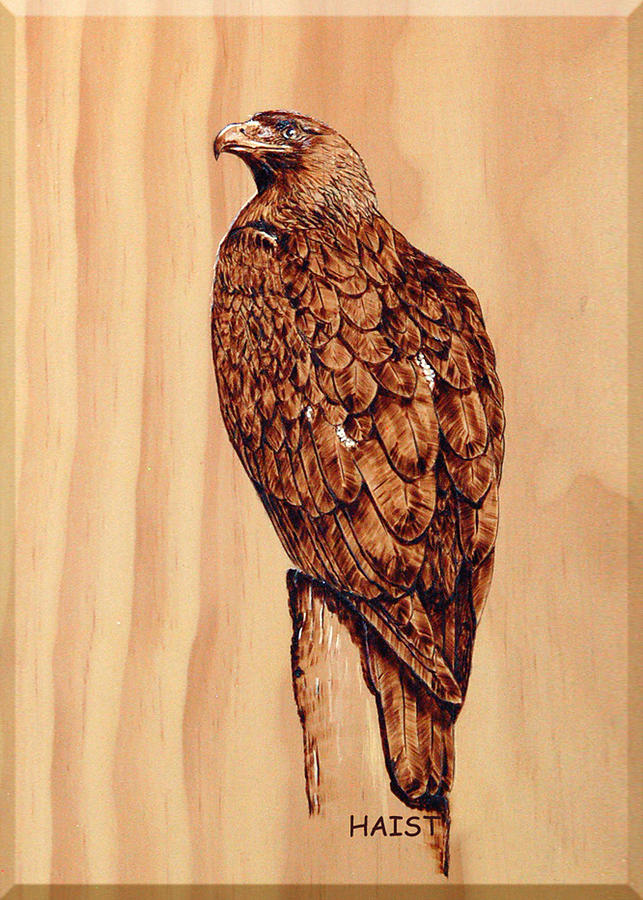 Golden Eagle Pyrography by Ron Haist