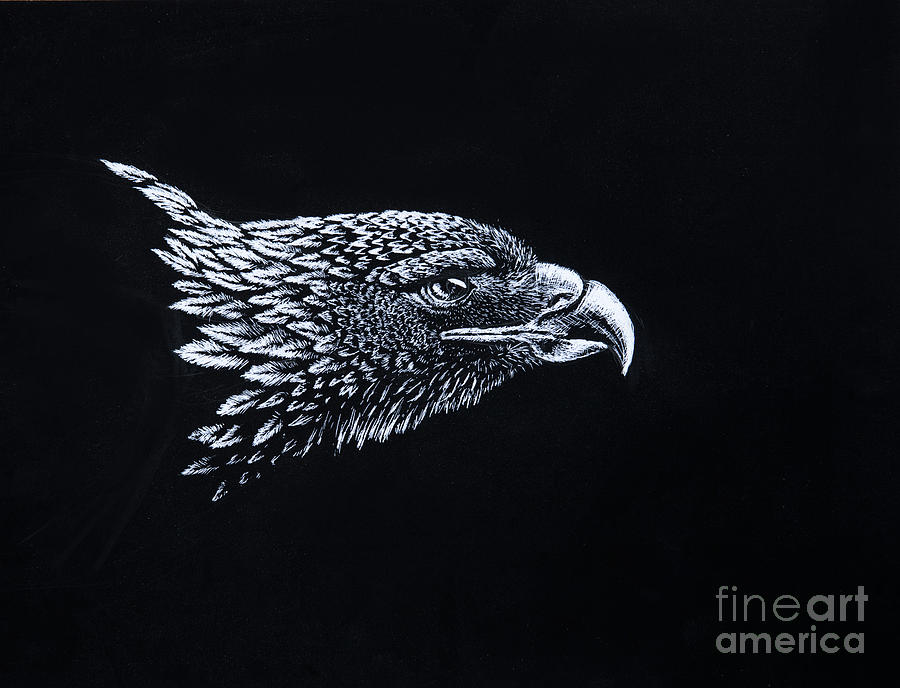 Eagle Drawing - Golden Eagle by Senecca Corsetti