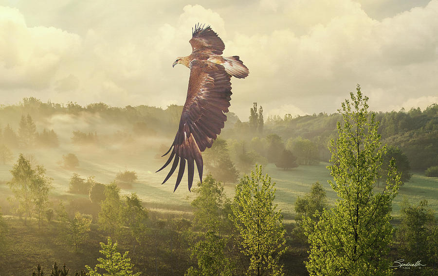 Golden Eagle Soaring Digital Art by M Spadecaller