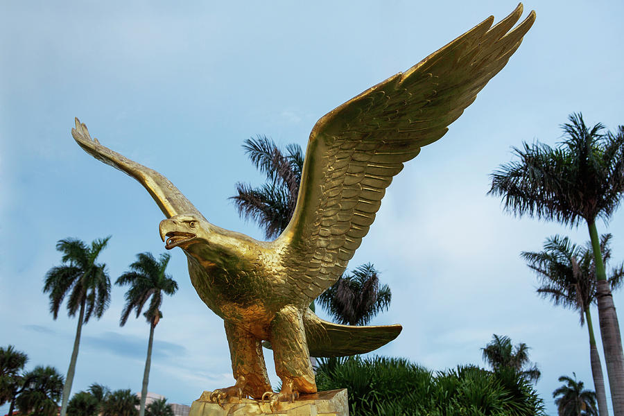 Golden Eagle Photograph - Golden Eagle Take Off by Iris Richardson